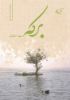 مؤسسه فرهنگی آرمان رشد/برکه/cover.jpg